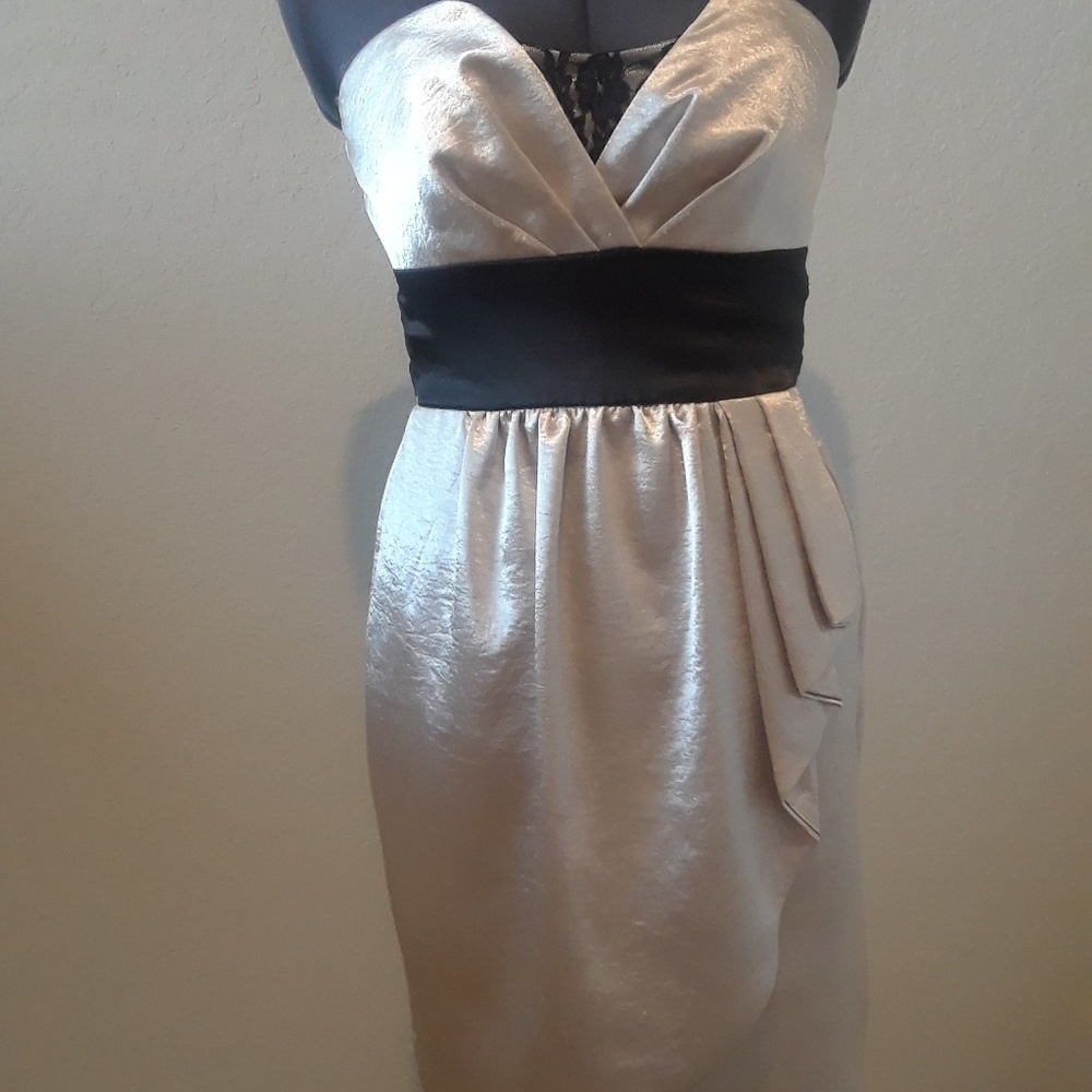💕HP💕Champagne‎ Satin Dress - Picture 6 of 7